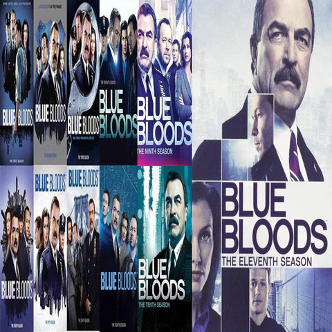 BLUE BLOODS DVD SERIES SEASONS 1-11 SET